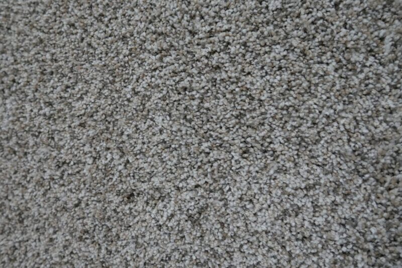An upclose photo of a piece of carpet to show the carpet fibers